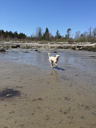 IMG_0851.jpg