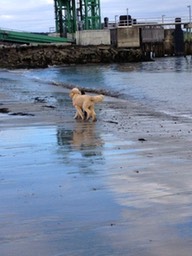 IMG_1167