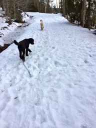 IMG_1640