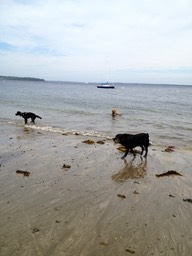 IMG 2306